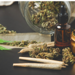 Top 5 best weed strains for studying in 2026 for focus and concentration