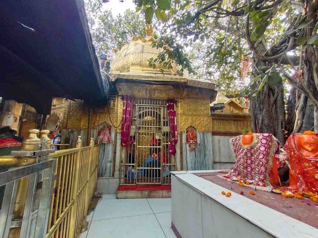 Chintpurni Shakti Peeth Temple shrine in Himachal Pradesh, nestled beneath a sacred banyan tree.