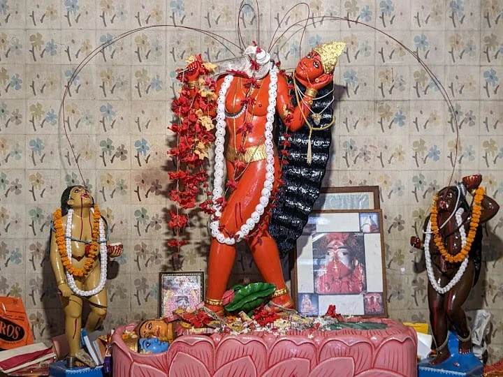 Goddess Chhinnamasta idol Rajrappa temple Jharkhand devotional image
