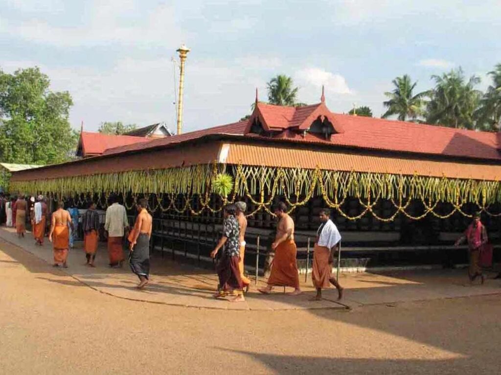 Large sacred tree near Chottanikkara Bhagavathy Temple with devotional offerings hanging from branches.
