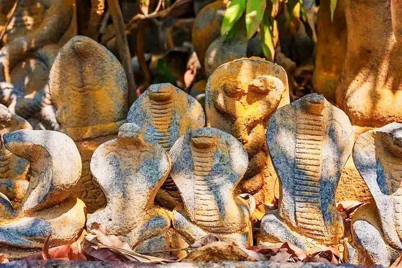 Close-up view of sacred cobra idols at Mannarasala Nagaraja Temple Kerala