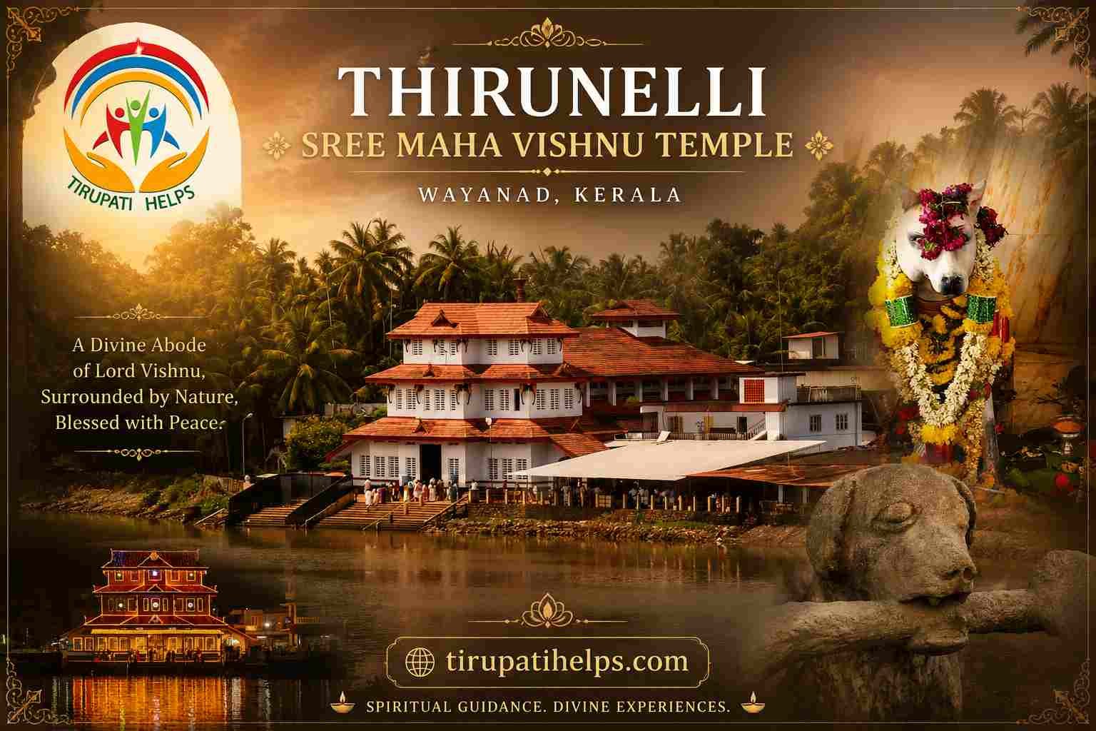 new-thum-1