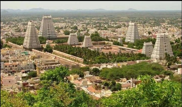 Sri Ranganathaswamy Temple complex with towering gopurams in Srirangam