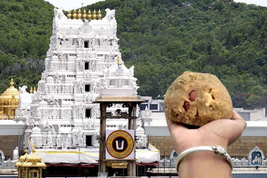 Devotee holding sacred Tirupati Laddu prasadam in front of Tirumala Temple