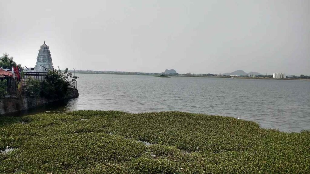 Scenic view of Bhadrakali Lake beside Bhadrakali Temple in Warangal, Telangana.